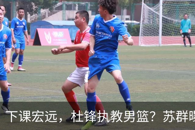 下课宏远，杜锋执教男篮？苏群曝料，1年计划曝光，宏远新帅曝光
