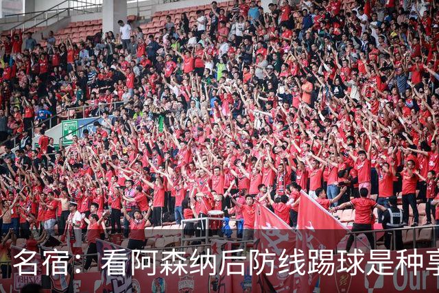 名宿：看阿森纳后防线踢球是种享受